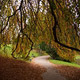 path
